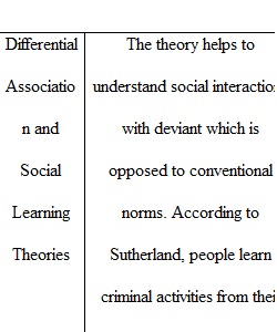 Graphic Organizer 3